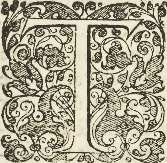 An illustration from Les raisons des forces mouuantes auec diuerses machines tant vtilles que plaisantes aus quelles sont adioints plusieurs desseings de grotes et fontaines, 1615, leaf 16