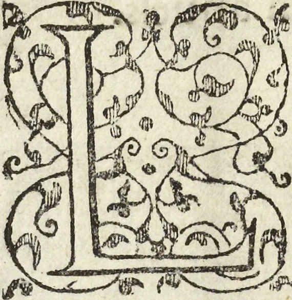 An illustration from Les raisons des forces mouuantes auec diuerses machines tant vtilles que plaisantes aus quelles sont adioints plusieurs desseings de grotes et fontaines, 1615, leaf 161