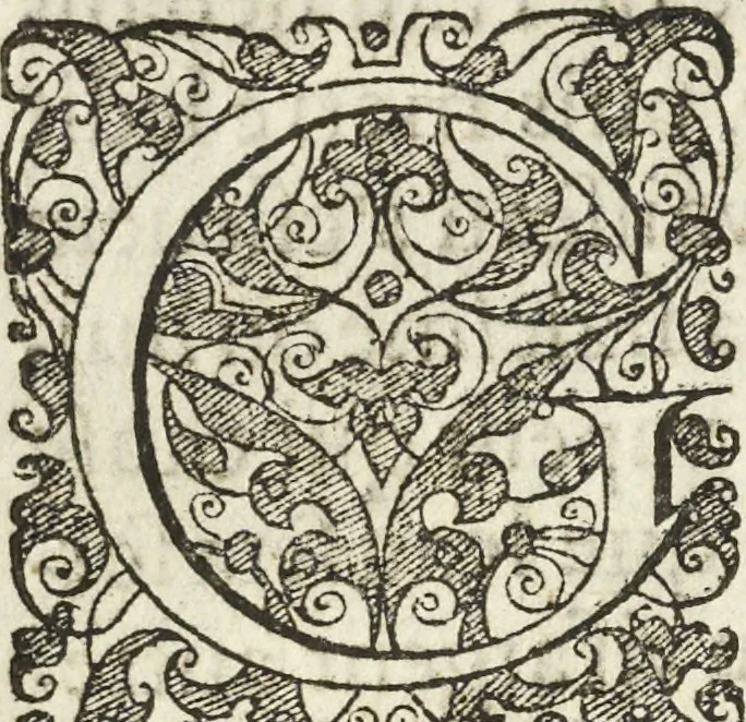 An illustration from Les raisons des forces mouuantes auec diuerses machines tant vtilles que plaisantes aus quelles sont adioints plusieurs desseings de grotes et fontaines, 1615, leaf 17