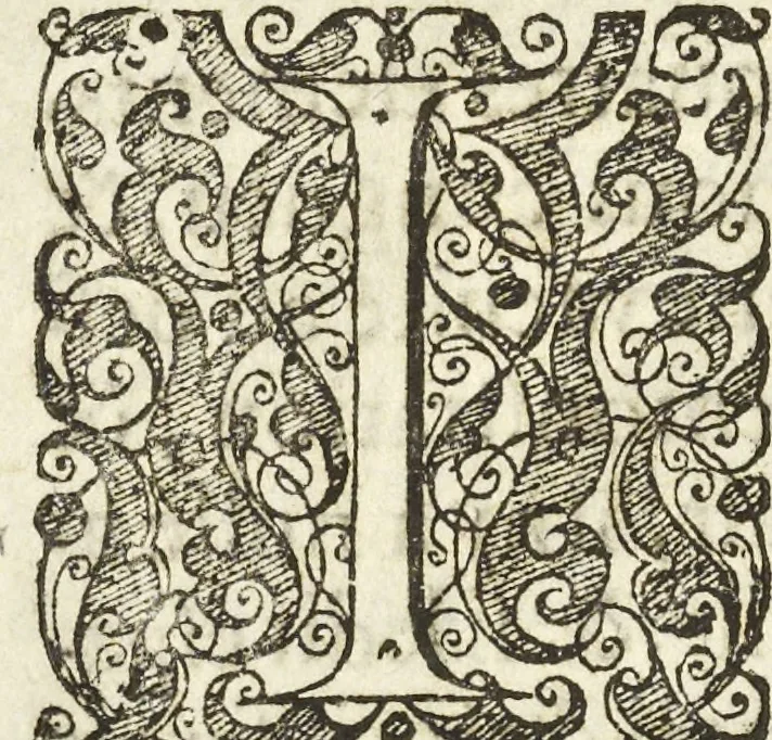 An illustration from Les raisons des forces mouuantes auec diuerses machines tant vtilles que plaisantes aus quelles sont adioints plusieurs desseings de grotes et fontaines, 1615, leaf 17