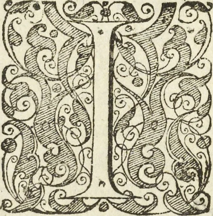 An illustration from Les raisons des forces mouuantes auec diuerses machines tant vtilles que plaisantes aus quelles sont adioints plusieurs desseings de grotes et fontaines, 1615, leaf 19