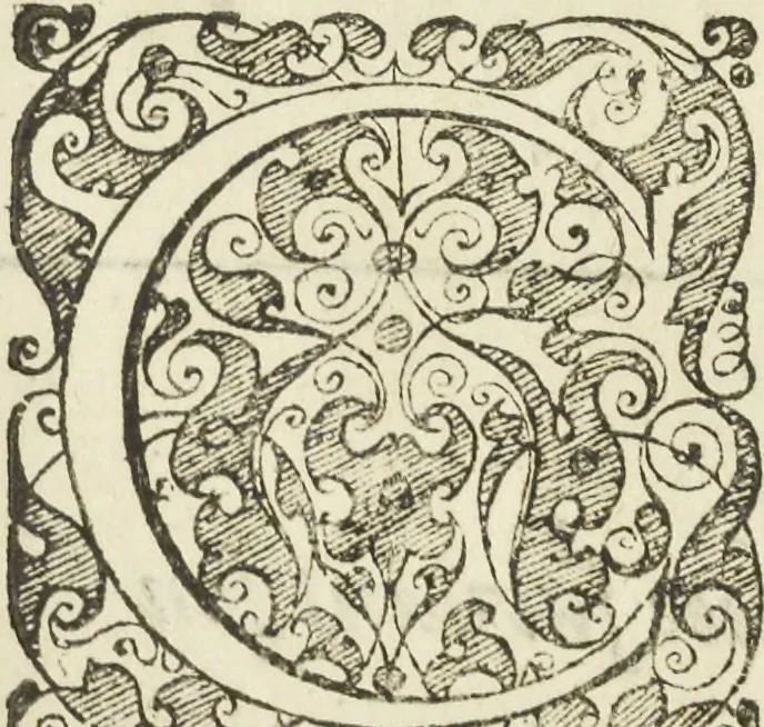 An illustration from Les raisons des forces mouuantes auec diuerses machines tant vtilles que plaisantes aus quelles sont adioints plusieurs desseings de grotes et fontaines, 1615, leaf 20
