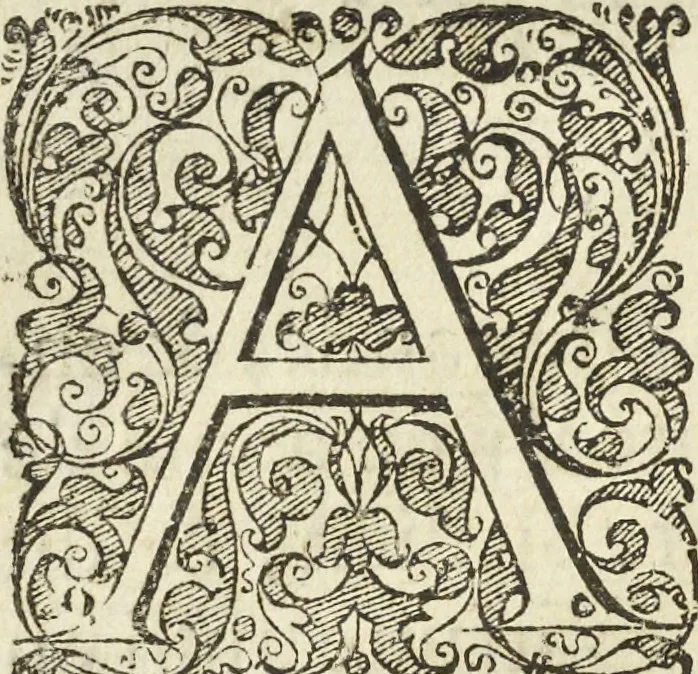 An illustration from Les raisons des forces mouuantes auec diuerses machines tant vtilles que plaisantes aus quelles sont adioints plusieurs desseings de grotes et fontaines, 1615, leaf 21