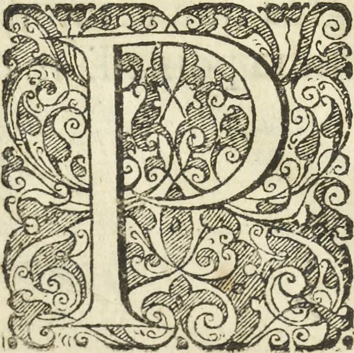 An illustration from Les raisons des forces mouuantes auec diuerses machines tant vtilles que plaisantes aus quelles sont adioints plusieurs desseings de grotes et fontaines, 1615, leaf 21
