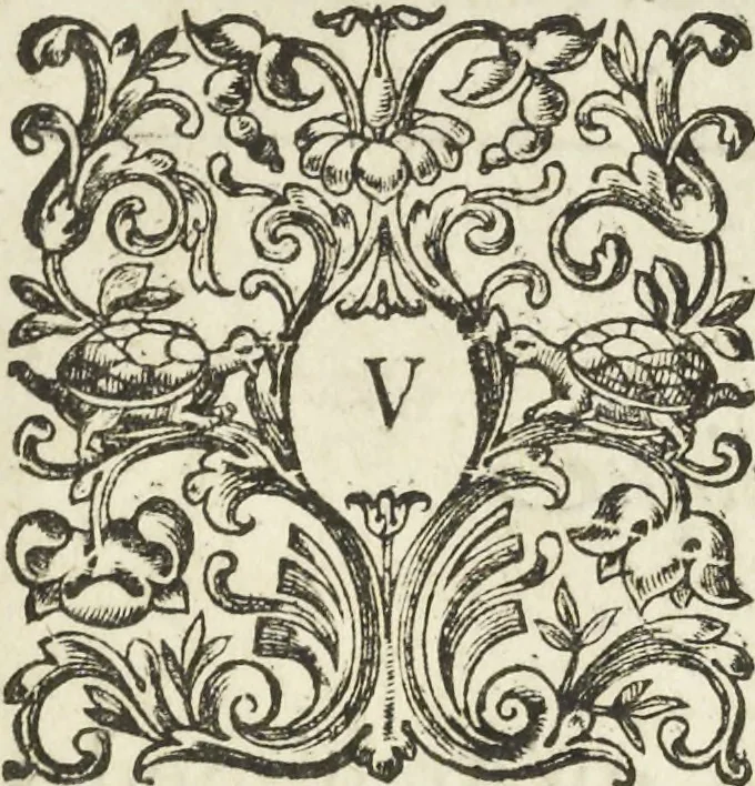An illustration from Les raisons des forces mouuantes auec diuerses machines tant vtilles que plaisantes aus quelles sont adioints plusieurs desseings de grotes et fontaines, 1615, leaf 24