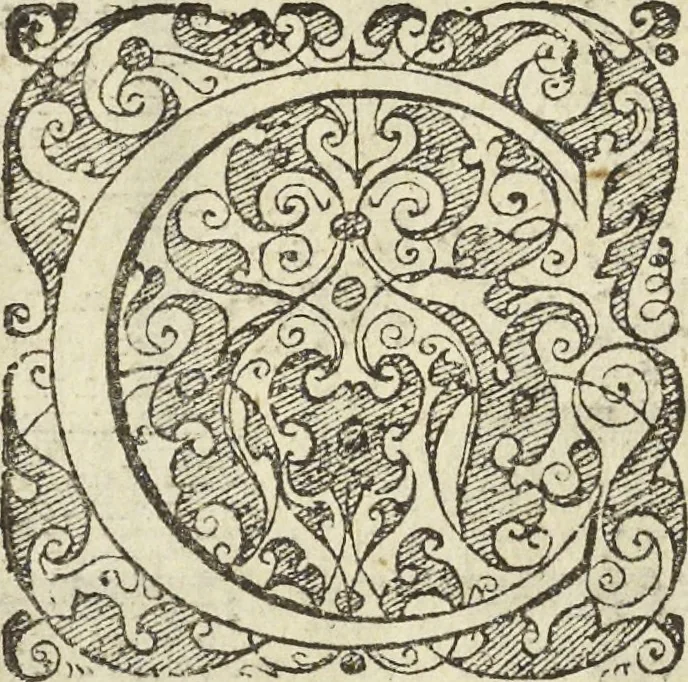 An illustration from Les raisons des forces mouuantes auec diuerses machines tant vtilles que plaisantes aus quelles sont adioints plusieurs desseings de grotes et fontaines, 1615, leaf 31
