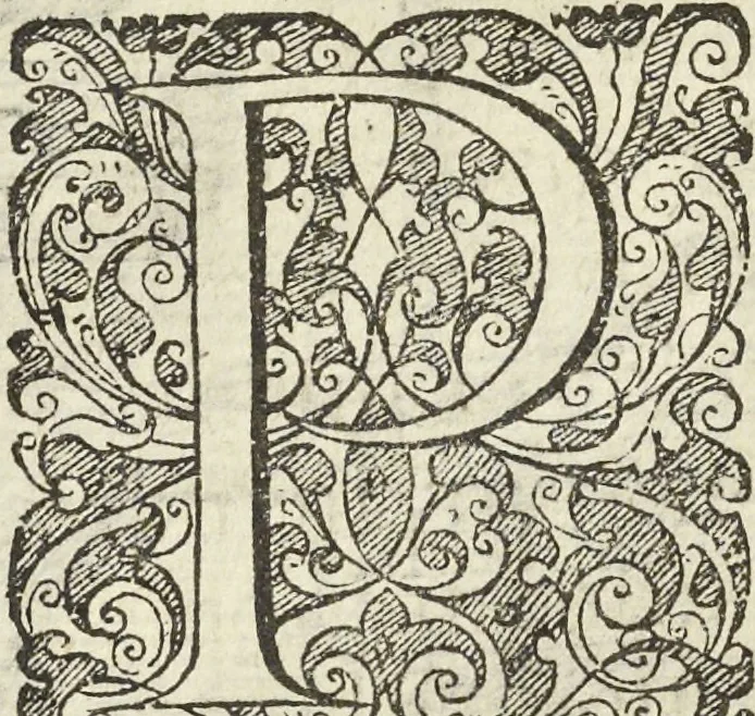 An illustration from Les raisons des forces mouuantes auec diuerses machines tant vtilles que plaisantes aus quelles sont adioints plusieurs desseings de grotes et fontaines, 1615, leaf 35
