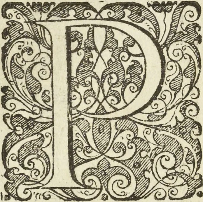 An illustration from Les raisons des forces mouuantes auec diuerses machines tant vtilles que plaisantes aus quelles sont adioints plusieurs desseings de grotes et fontaines, 1615, leaf 39