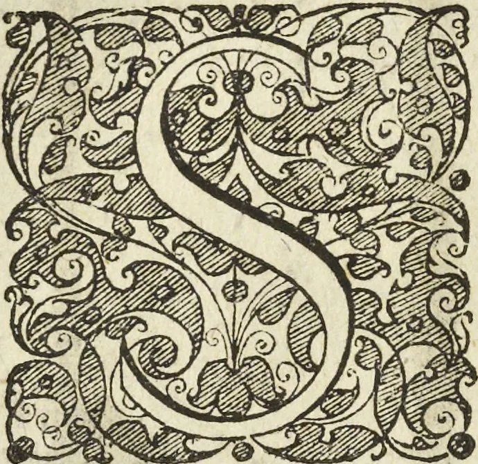 An illustration from Les raisons des forces mouuantes auec diuerses machines tant vtilles que plaisantes aus quelles sont adioints plusieurs desseings de grotes et fontaines, 1615, leaf 41