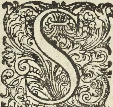 An illustration from Les raisons des forces mouuantes auec diuerses machines tant vtilles que plaisantes aus quelles sont adioints plusieurs desseings de grotes et fontaines, 1615, leaf 45
