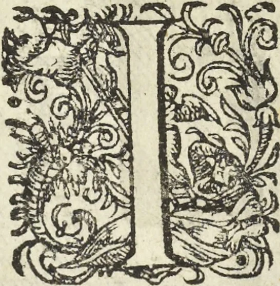 An illustration from Les raisons des forces mouuantes auec diuerses machines tant vtilles que plaisantes aus quelles sont adioints plusieurs desseings de grotes et fontaines, 1615, leaf 45