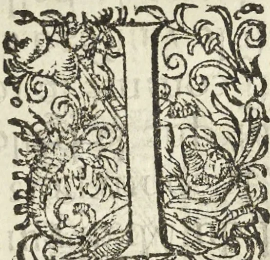 An illustration from Les raisons des forces mouuantes auec diuerses machines tant vtilles que plaisantes aus quelles sont adioints plusieurs desseings de grotes et fontaines, 1615, leaf 47