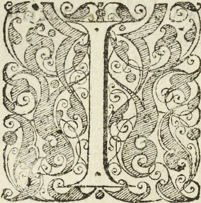 An illustration from Les raisons des forces mouuantes auec diuerses machines tant vtilles que plaisantes aus quelles sont adioints plusieurs desseings de grotes et fontaines, 1615, leaf 49