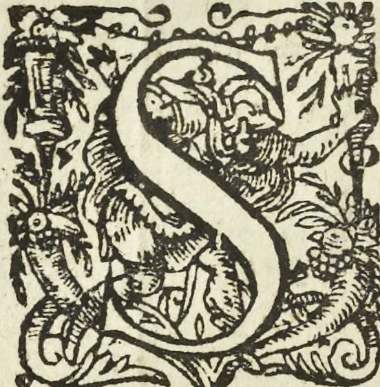 An illustration from Les raisons des forces mouuantes auec diuerses machines tant vtilles que plaisantes aus quelles sont adioints plusieurs desseings de grotes et fontaines, 1615, leaf 51