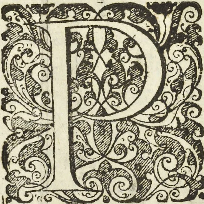 An illustration from Les raisons des forces mouuantes auec diuerses machines tant vtilles que plaisantes aus quelles sont adioints plusieurs desseings de grotes et fontaines, 1615, leaf 51