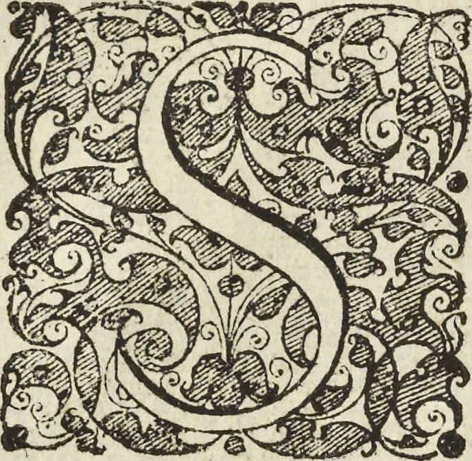 An illustration from Les raisons des forces mouuantes auec diuerses machines tant vtilles que plaisantes aus quelles sont adioints plusieurs desseings de grotes et fontaines, 1615, leaf 61