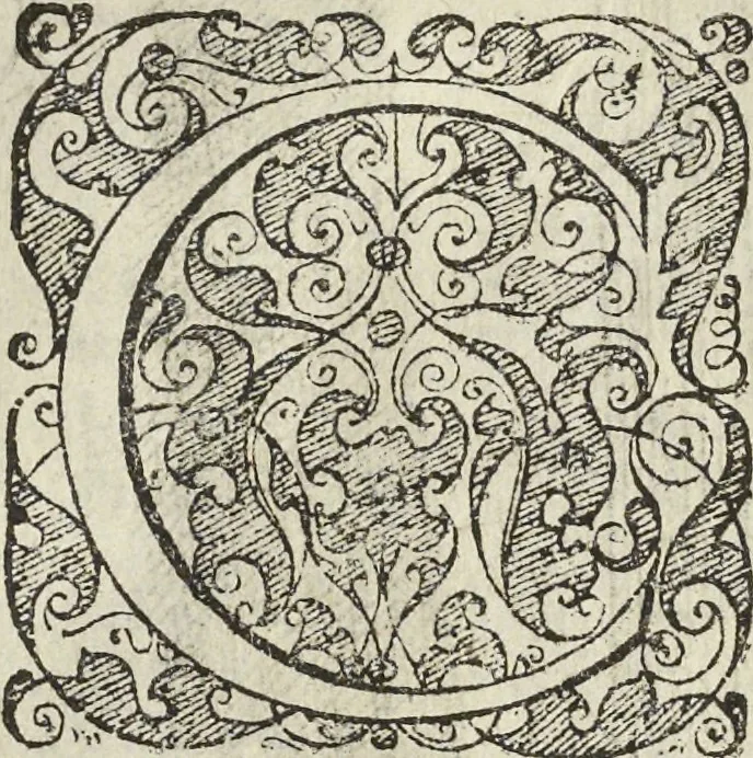 An illustration from Les raisons des forces mouuantes auec diuerses machines tant vtilles que plaisantes aus quelles sont adioints plusieurs desseings de grotes et fontaines, 1615, leaf 63