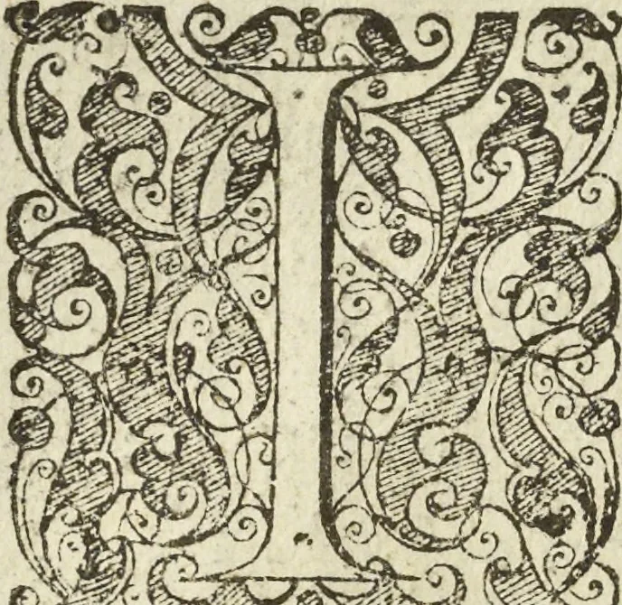 An illustration from Les raisons des forces mouuantes auec diuerses machines tant vtilles que plaisantes aus quelles sont adioints plusieurs desseings de grotes et fontaines, 1615, leaf 75