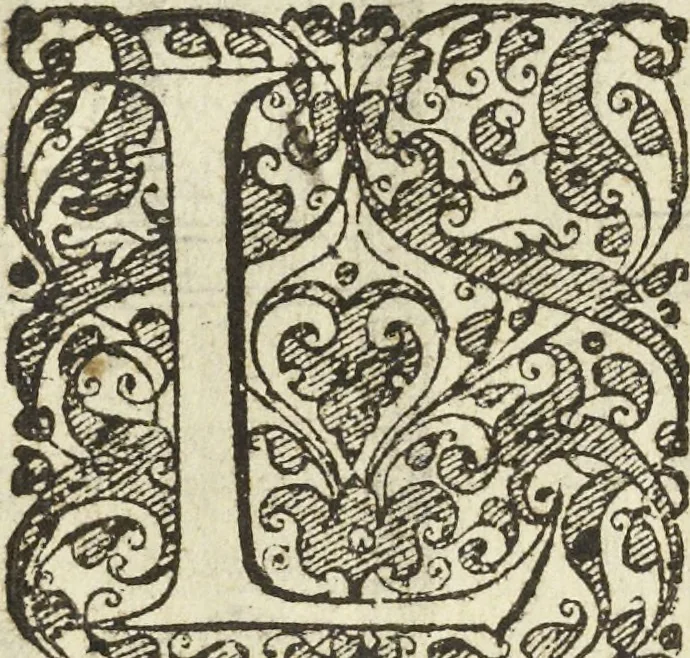 An illustration from Les raisons des forces mouuantes auec diuerses machines tant vtilles que plaisantes aus quelles sont adioints plusieurs desseings de grotes et fontaines, 1615, leaf 77