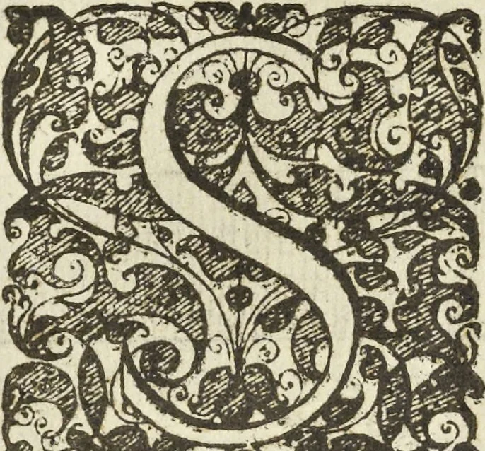 An illustration from Les raisons des forces mouuantes auec diuerses machines tant vtilles que plaisantes aus quelles sont adioints plusieurs desseings de grotes et fontaines, 1615, leaf 79