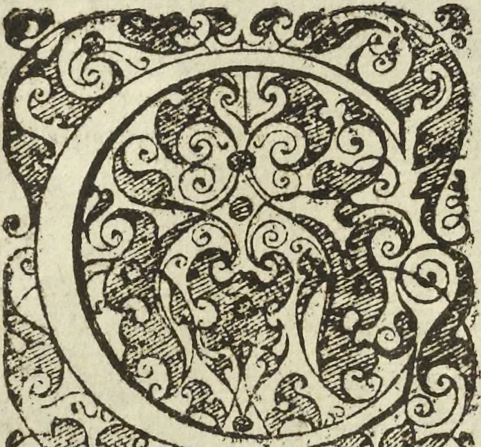 An illustration from Les raisons des forces mouuantes auec diuerses machines tant vtilles que plaisantes aus quelles sont adioints plusieurs desseings de grotes et fontaines, 1615, leaf 81