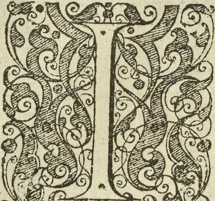 An illustration from Les raisons des forces mouuantes auec diuerses machines tant vtilles que plaisantes aus quelles sont adioints plusieurs desseings de grotes et fontaines, 1615, leaf 83