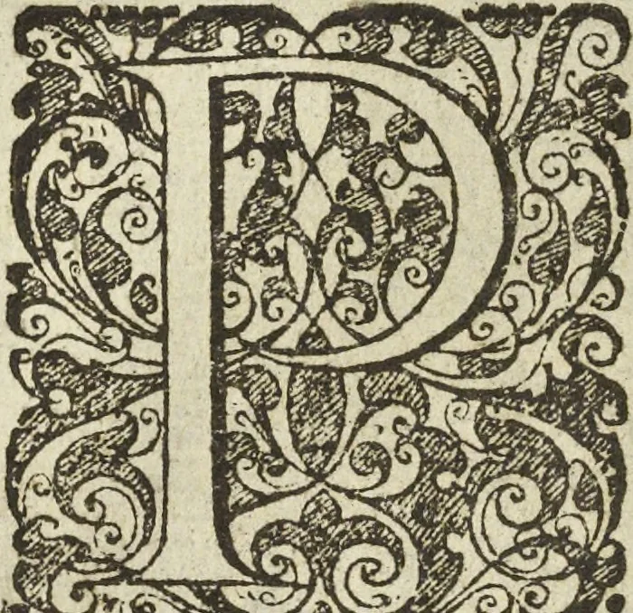 An illustration from Les raisons des forces mouuantes auec diuerses machines tant vtilles que plaisantes aus quelles sont adioints plusieurs desseings de grotes et fontaines, 1615, leaf 85