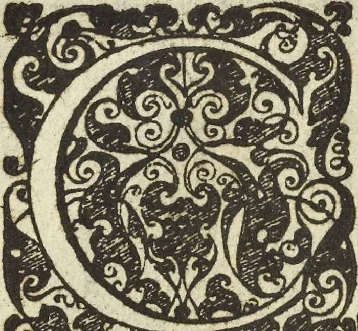 An illustration from Les raisons des forces mouuantes auec diuerses machines tant vtilles que plaisantes aus quelles sont adioints plusieurs desseings de grotes et fontaines, 1615, leaf 91