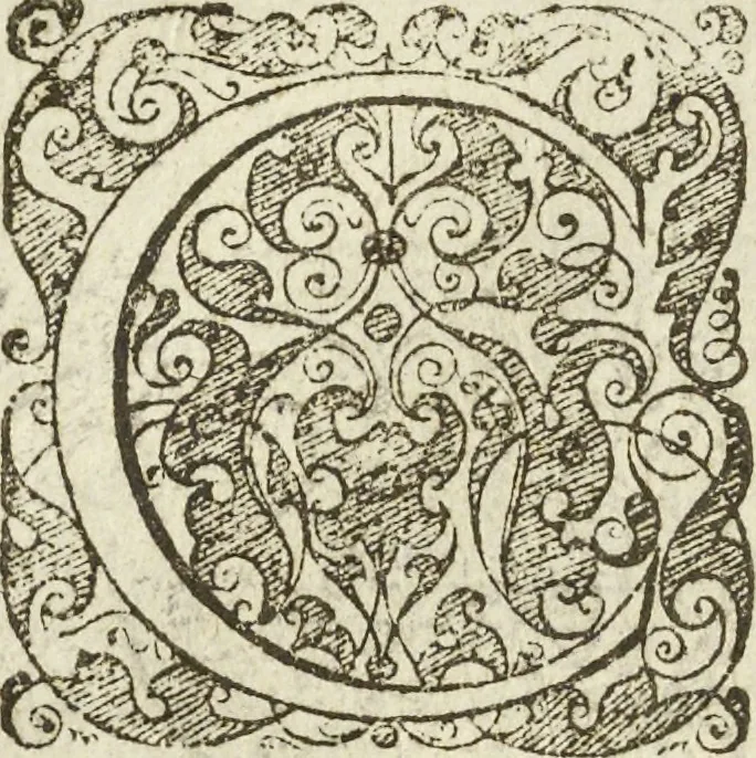 An illustration from Les raisons des forces mouuantes auec diuerses machines tant vtilles que plaisantes aus quelles sont adioints plusieurs desseings de grotes et fontaines, 1615, leaf 97