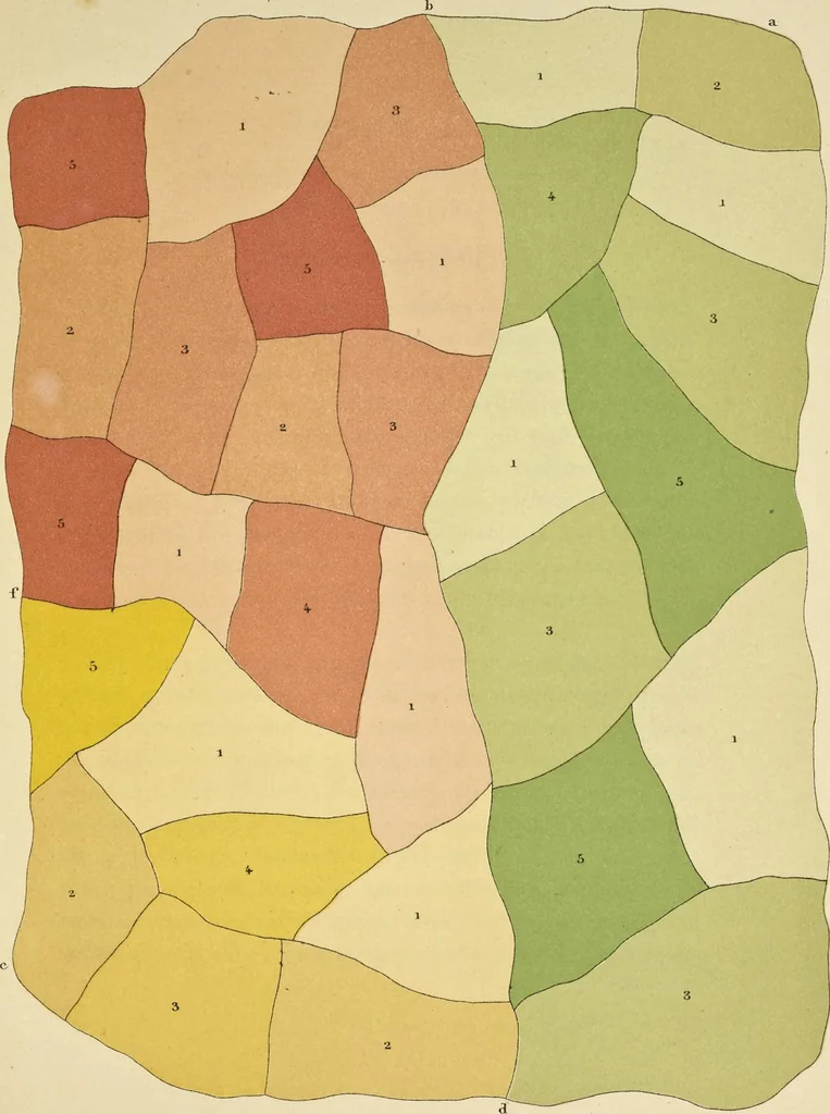 An illustration from De la loi du contraste simultané des couleurs et de l'assortiment des objets colorés : considéré d'après cette loi dans ses rapports avec la peinture, les tapisseries des gobelins, les tapisseries de Beauvais pour meubles, les tapis, la mosaique, les vitraux colorés, l'impression des étoffes, l'imprimerie, l'enluminure, la decoration des édifices, l'habillement et l'horticulture, 1889, leaf 338