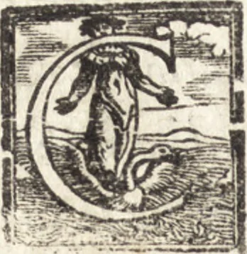 An illustration from Dialogo di pittvra, 1548, leaf 5