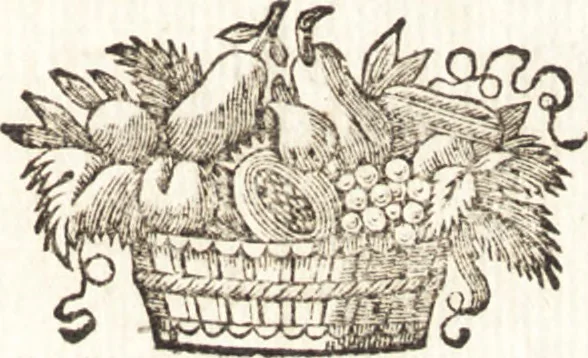 An illustration from L'optique des couleurs : fondée sur les simples observations, & tournée sur-tout à la pratique de la peinture, de la teinture, & des autres arts coloristes, 1740, leaf 208