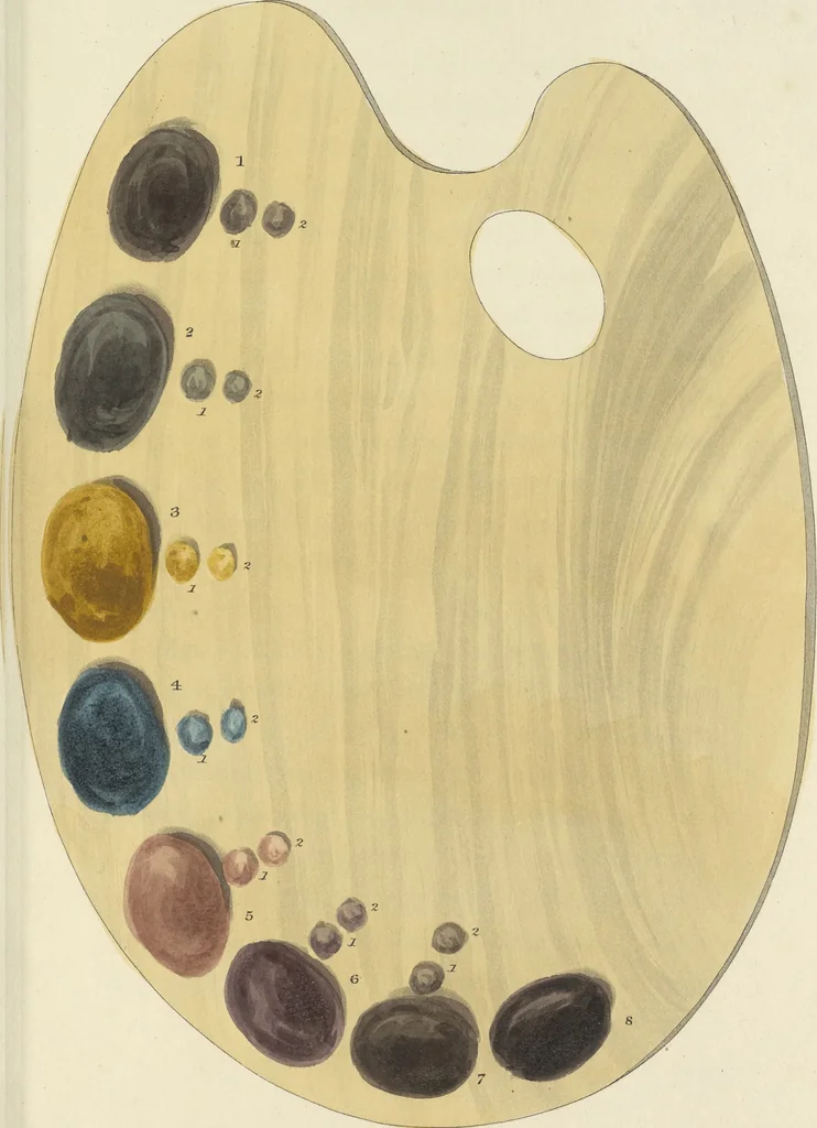 An illustration from The art of painting portraits, landscapes, animals, draperies, satins, &c. in oil colours : practically explained by coloured palettes : with an appendix on cleaning and restoring ancient paintings on panel or canvas, 1840, leaf 36