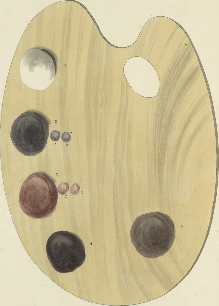 An illustration from The art of painting portraits, landscapes, animals, draperies, satins, &c. in oil colours : practically explained by coloured palettes : with an appendix on cleaning and restoring ancient paintings on panel or canvas, 1840, leaf 41