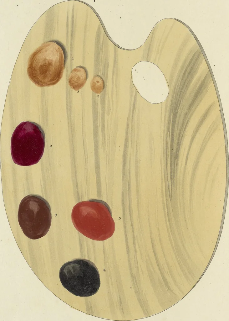 An illustration from The art of painting portraits, landscapes, animals, draperies, satins, &c. in oil colours : practically explained by coloured palettes : with an appendix on cleaning and restoring ancient paintings on panel or canvas, 1840, leaf 49