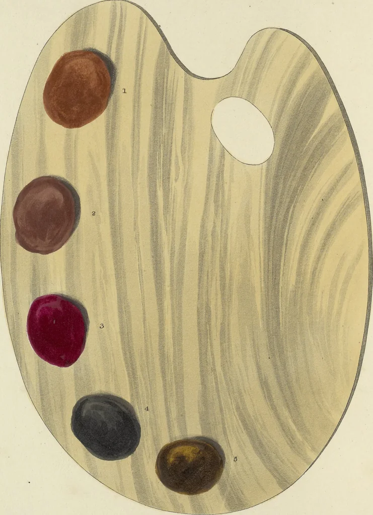 An illustration from The art of painting portraits, landscapes, animals, draperies, satins, &c. in oil colours : practically explained by coloured palettes : with an appendix on cleaning and restoring ancient paintings on panel or canvas, 1840, leaf 55