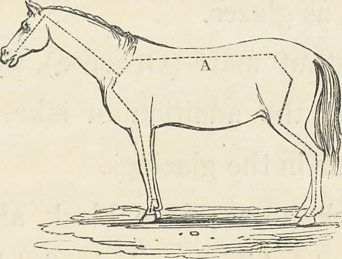 An illustration from The art of painting portraits, landscapes, animals, draperies, satins, &c. in oil colours : practically explained by coloured palettes : with an appendix on cleaning and restoring ancient paintings on panel or canvas, 1840, leaf 64