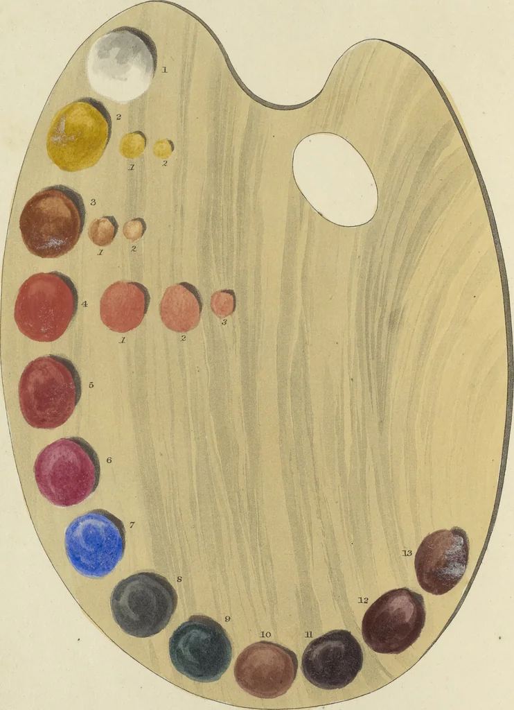 An illustration from The art of painting portraits, landscapes, animals, draperies, satins, &c. in oil colours : practically explained by coloured palettes : with an appendix on cleaning and restoring ancient paintings on panel or canvas, 1840, leaf 7