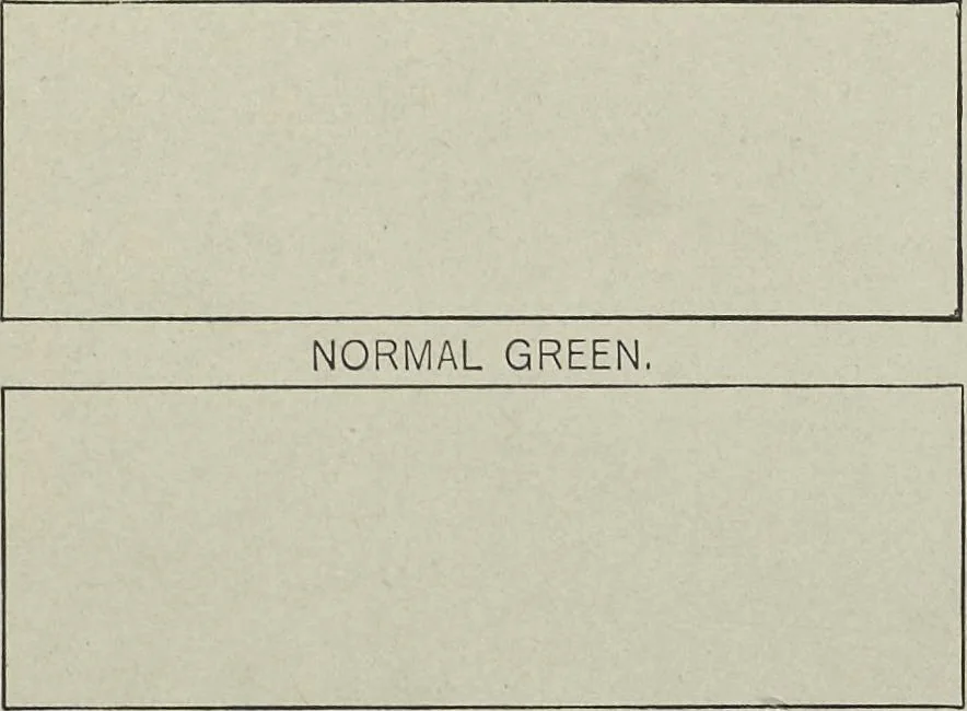 An illustration from A class-book of color : including color definitions, color scaling, and the harmony of colors, 1895, leaf 72