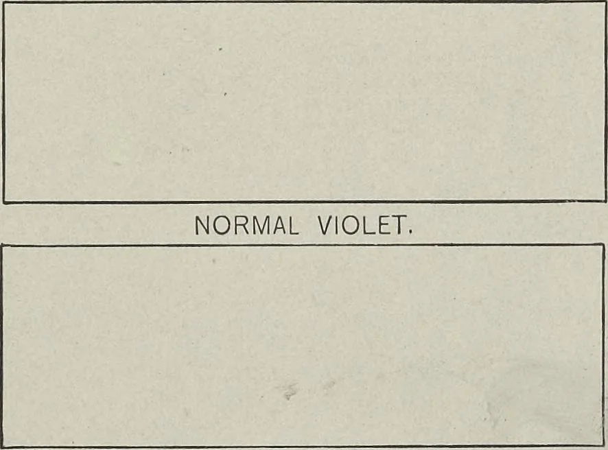 An illustration from A class-book of color : including color definitions, color scaling, and the harmony of colors, 1895, leaf 72
