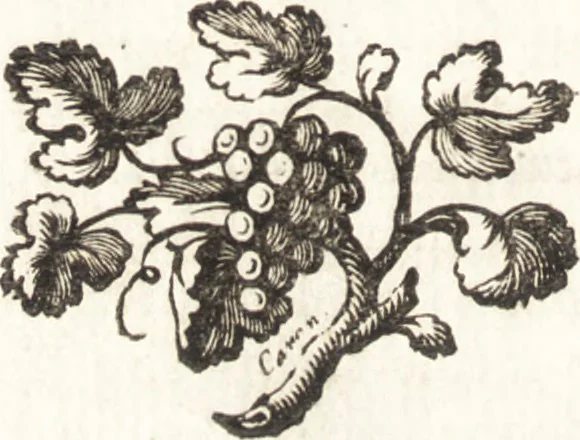 An illustration from Traité des couleurs pour la peinture en émail et sur la porcelaine : précédé de l'art de peindre sur l'émail, et suivi de plusieurs mémoires sur différent sujets ..., 1765, leaf 175
