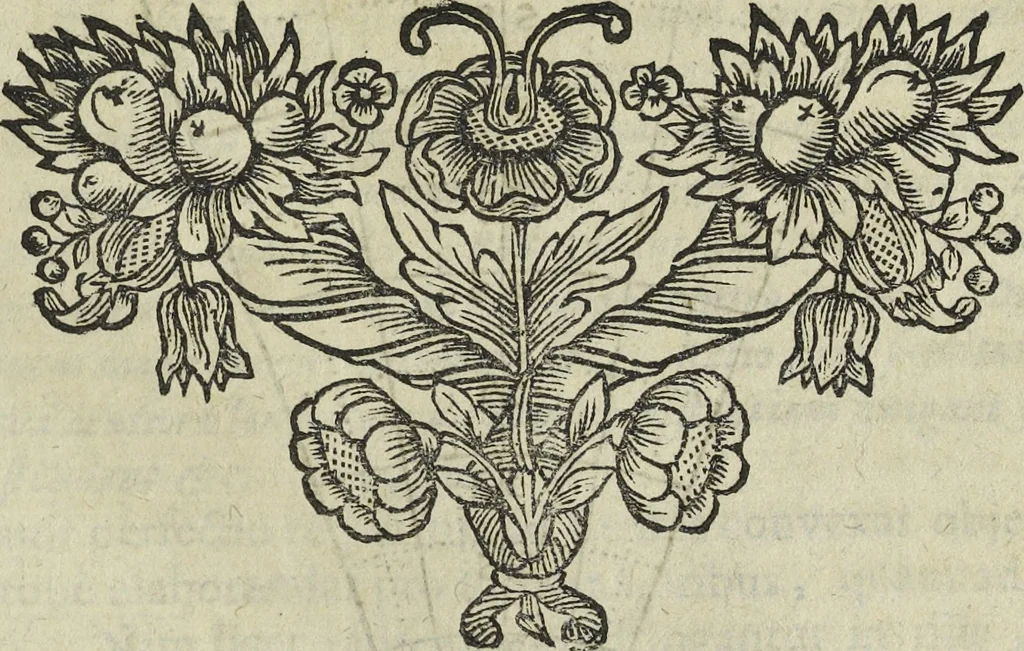 An illustration from Oculus artificialis teledioptricus, sive, Telescopium : ex abditis rerum naturalium & artificialium principiis protractum novâ methodo, eâque solidâ explicatum ac comprimis è triplici fundamento physico seu naturali, mathematico dioptrico et mechanico, seu practico stabilitum ..., 1685, leaf 126