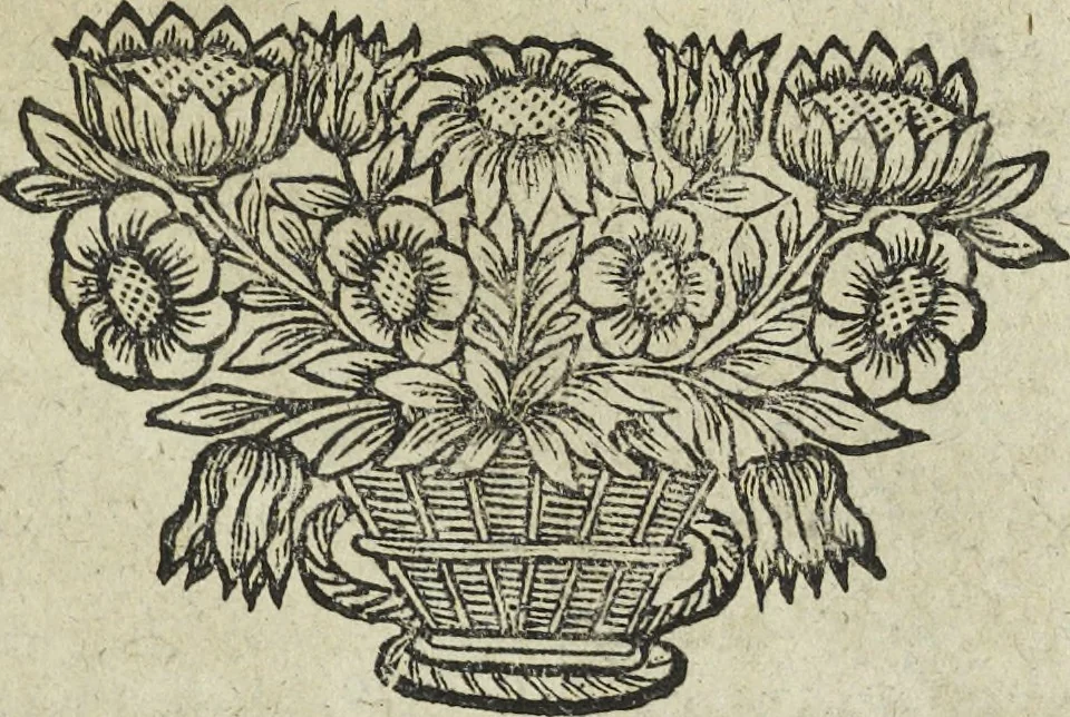 An illustration from Oculus artificialis teledioptricus, sive, Telescopium : ex abditis rerum naturalium & artificialium principiis protractum novâ methodo, eâque solidâ explicatum ac comprimis è triplici fundamento physico seu naturali, mathematico dioptrico et mechanico, seu practico stabilitum ..., 1685, leaf 132