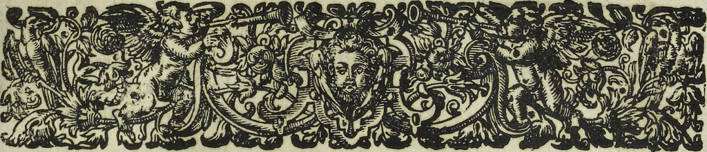 An illustration from Oculus artificialis teledioptricus, sive, Telescopium : ex abditis rerum naturalium & artificialium principiis protractum novâ methodo, eâque solidâ explicatum ac comprimis è triplici fundamento physico seu naturali, mathematico dioptrico et mechanico, seu practico stabilitum ..., 1685, leaf 138