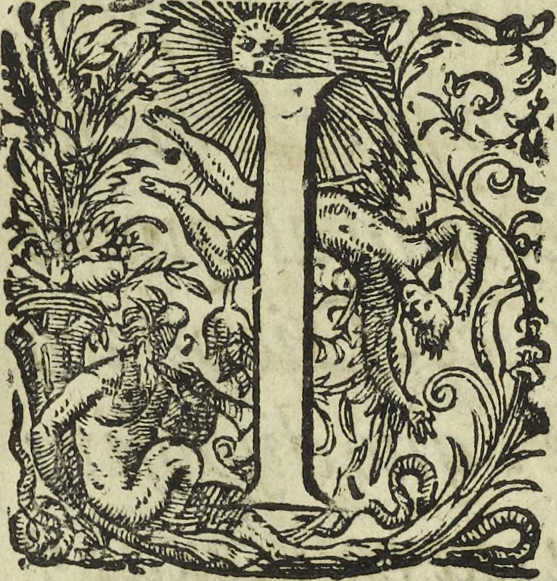 An illustration from Oculus artificialis teledioptricus, sive, Telescopium : ex abditis rerum naturalium & artificialium principiis protractum novâ methodo, eâque solidâ explicatum ac comprimis è triplici fundamento physico seu naturali, mathematico dioptrico et mechanico, seu practico stabilitum ..., 1685, leaf 20