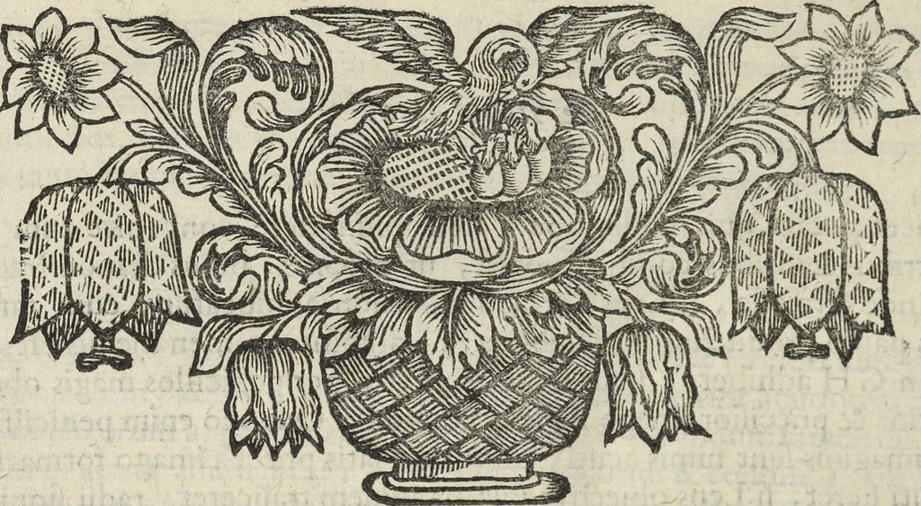 An illustration from Oculus artificialis teledioptricus, sive, Telescopium : ex abditis rerum naturalium & artificialium principiis protractum novâ methodo, eâque solidâ explicatum ac comprimis è triplici fundamento physico seu naturali, mathematico dioptrico et mechanico, seu practico stabilitum ..., 1685, leaf 219