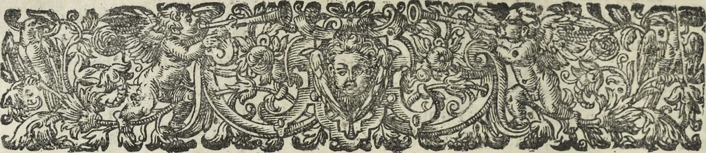 An illustration from Oculus artificialis teledioptricus, sive, Telescopium : ex abditis rerum naturalium & artificialium principiis protractum novâ methodo, eâque solidâ explicatum ac comprimis è triplici fundamento physico seu naturali, mathematico dioptrico et mechanico, seu practico stabilitum ..., 1685, leaf 233