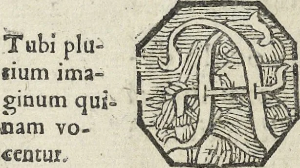 An illustration from Oculus artificialis teledioptricus, sive, Telescopium : ex abditis rerum naturalium & artificialium principiis protractum novâ methodo, eâque solidâ explicatum ac comprimis è triplici fundamento physico seu naturali, mathematico dioptrico et mechanico, seu practico stabilitum ..., 1685, leaf 233