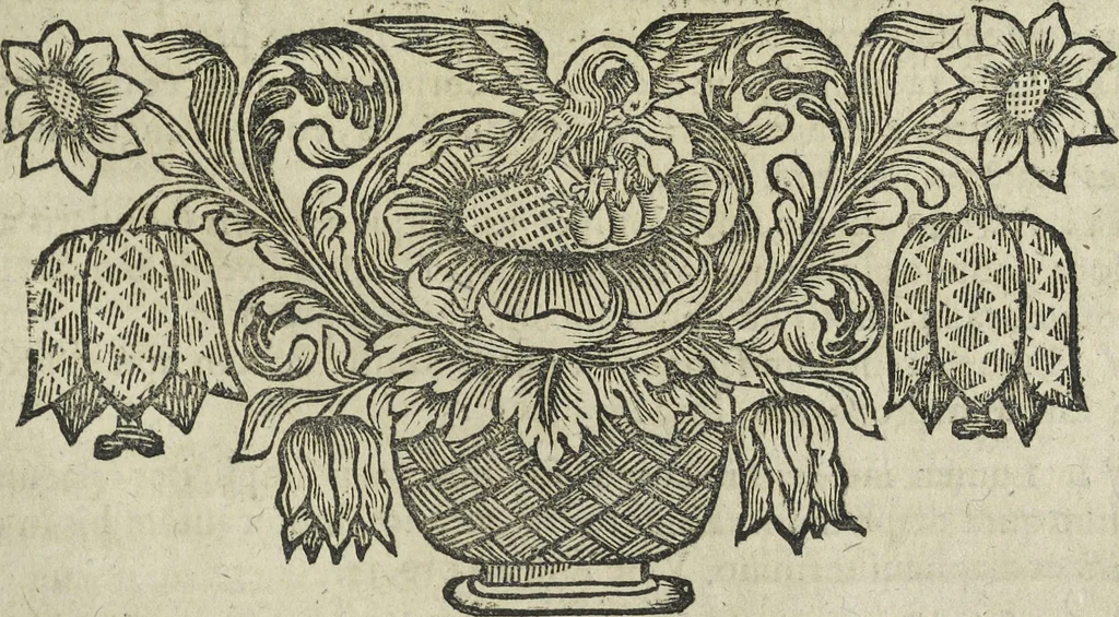 An illustration from Oculus artificialis teledioptricus, sive, Telescopium : ex abditis rerum naturalium & artificialium principiis protractum novâ methodo, eâque solidâ explicatum ac comprimis è triplici fundamento physico seu naturali, mathematico dioptrico et mechanico, seu practico stabilitum ..., 1685, leaf 238