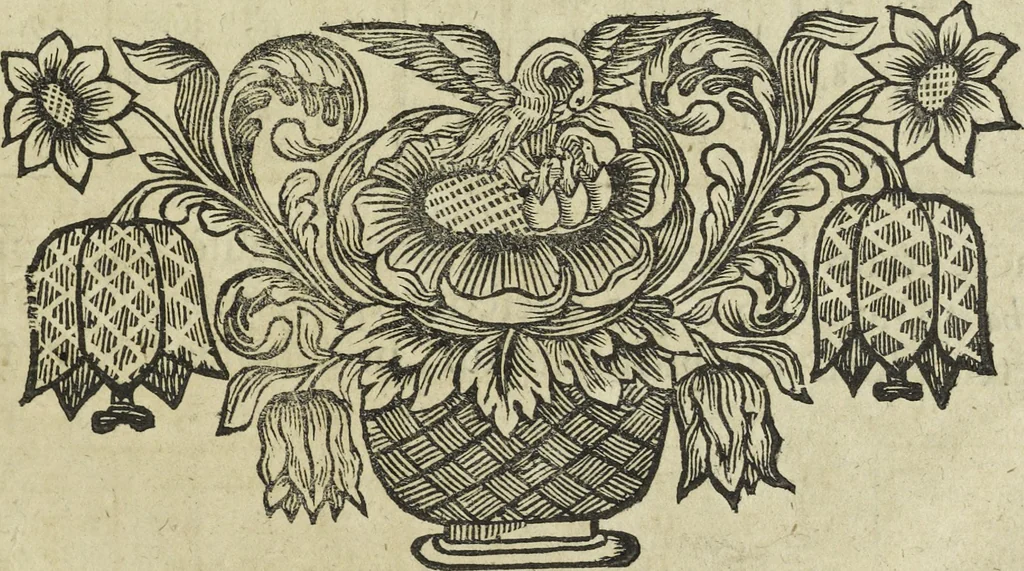 An illustration from Oculus artificialis teledioptricus, sive, Telescopium : ex abditis rerum naturalium & artificialium principiis protractum novâ methodo, eâque solidâ explicatum ac comprimis è triplici fundamento physico seu naturali, mathematico dioptrico et mechanico, seu practico stabilitum ..., 1685, leaf 30